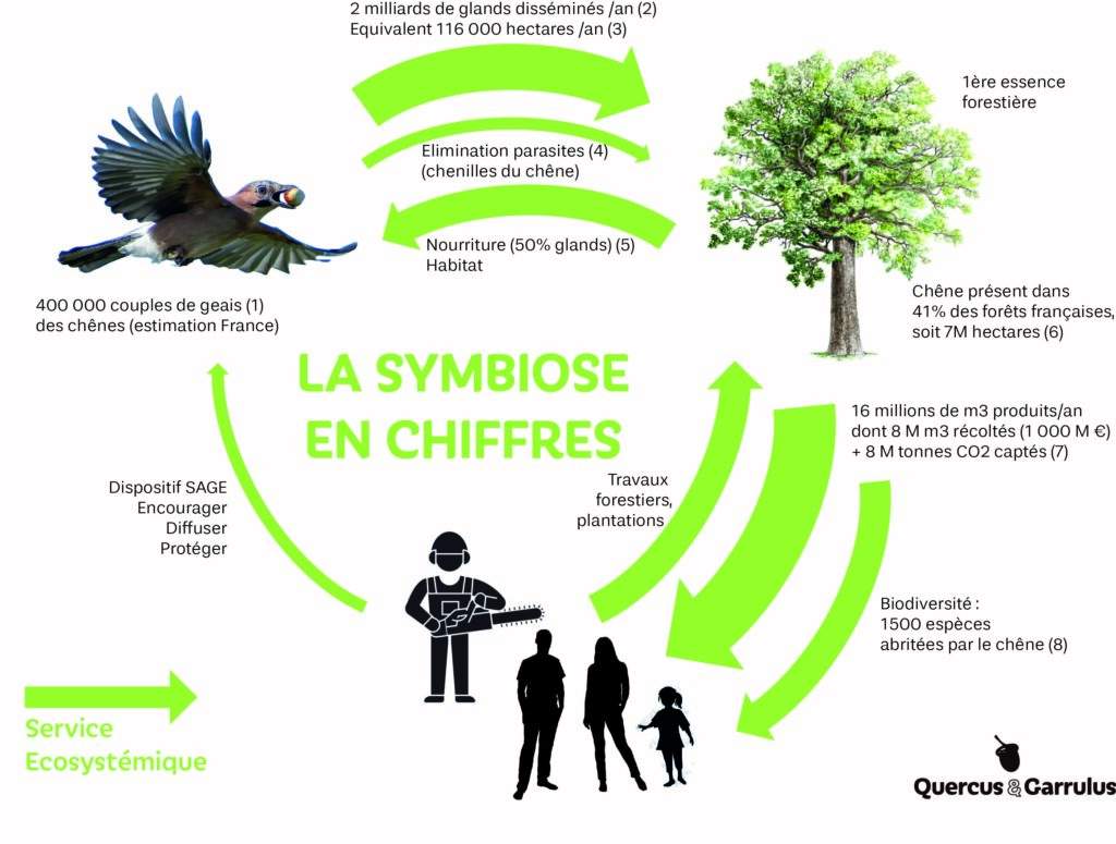 La Symbiose en chiffre