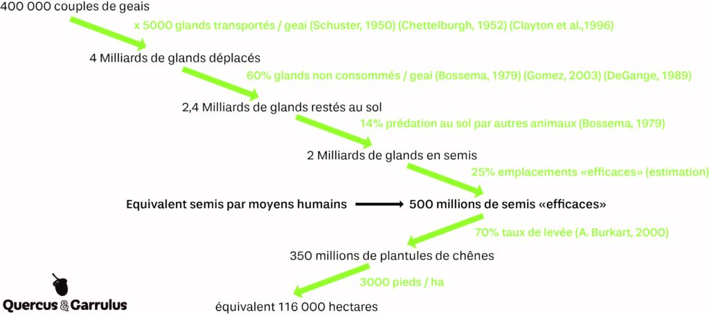 Graphique La Symbiose